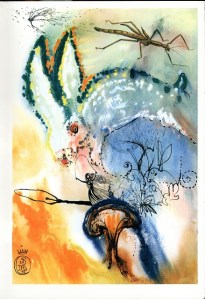 Down The Rabbit Hole